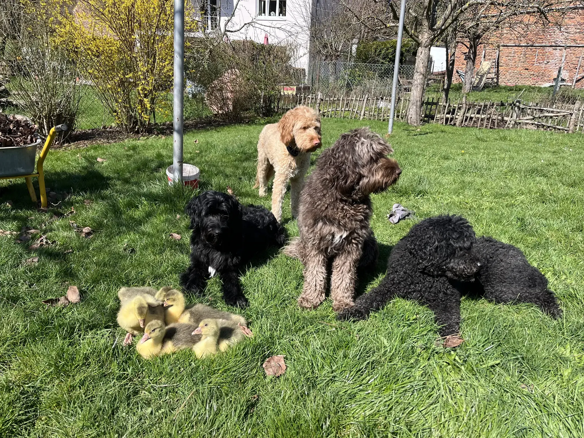 Unsere Tiere